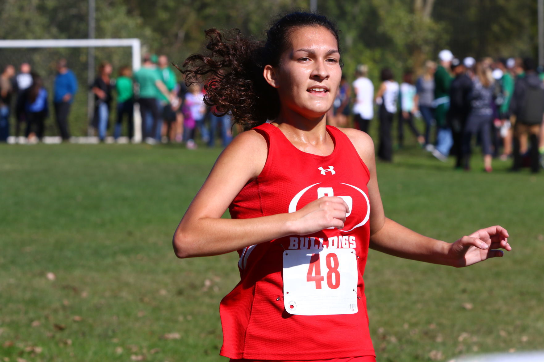 Gallery: Duneland Athletic Conference cross country meet